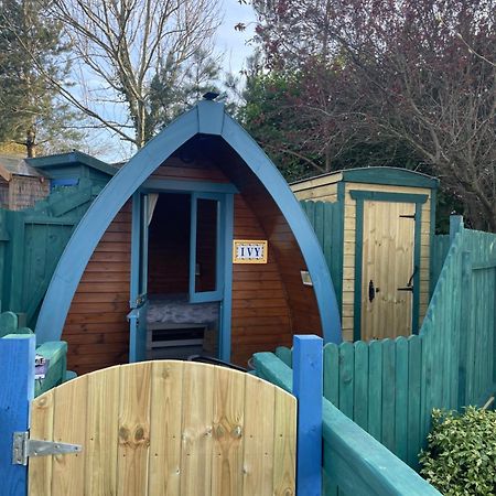 Hotel Glamping In The 2Nd Field Aughrim Exterior foto